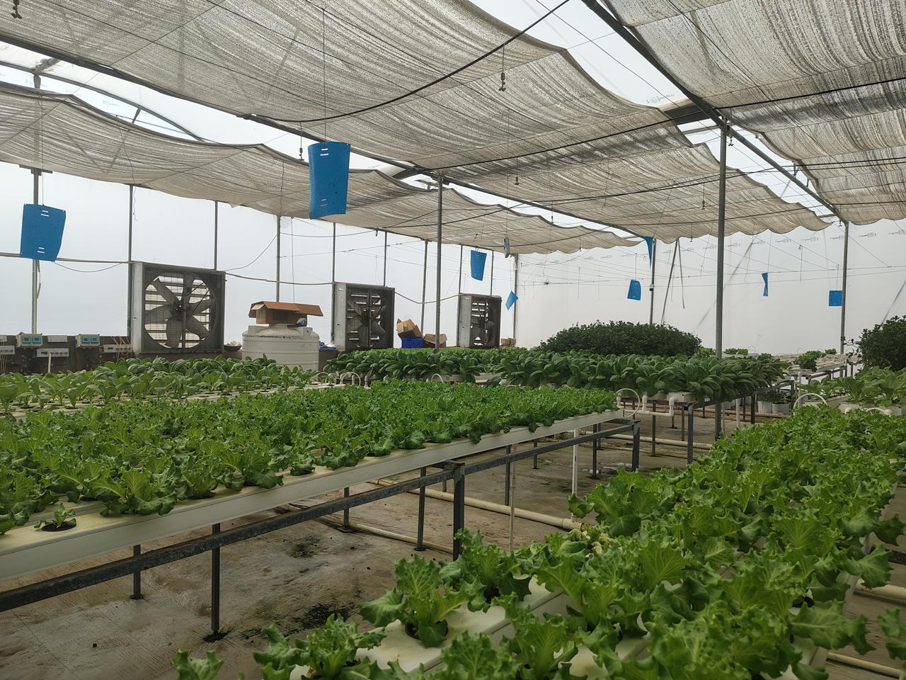 Smart farming automation